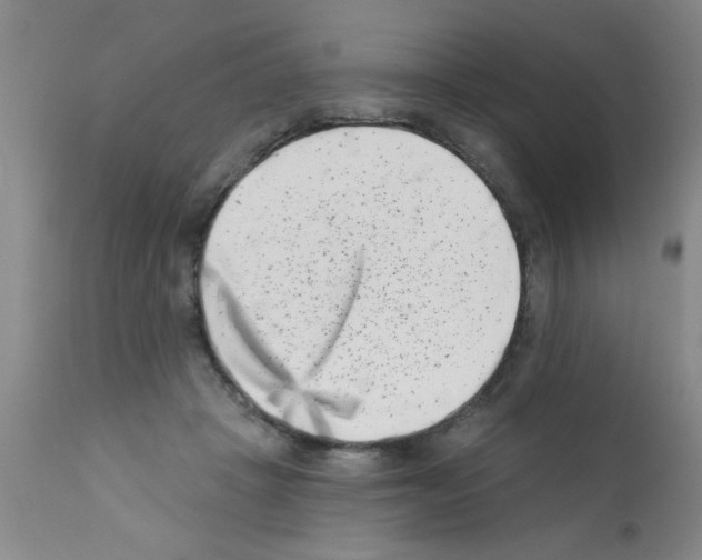 X0000113200457200910221044