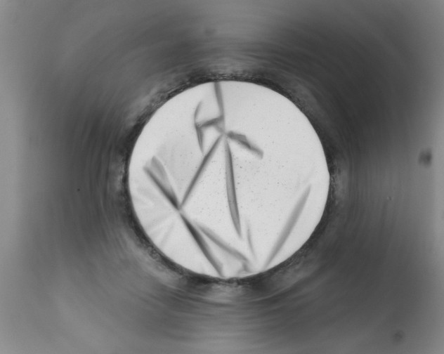X0000113200458200910221044