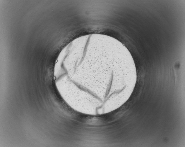 X0000113200460200910221044