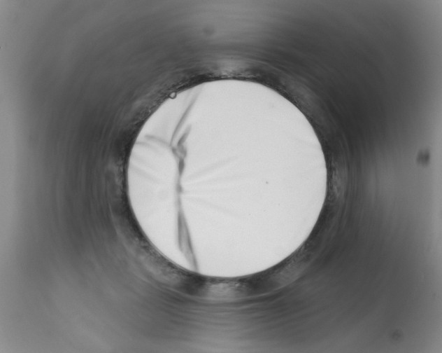 X0000113200461200910221044