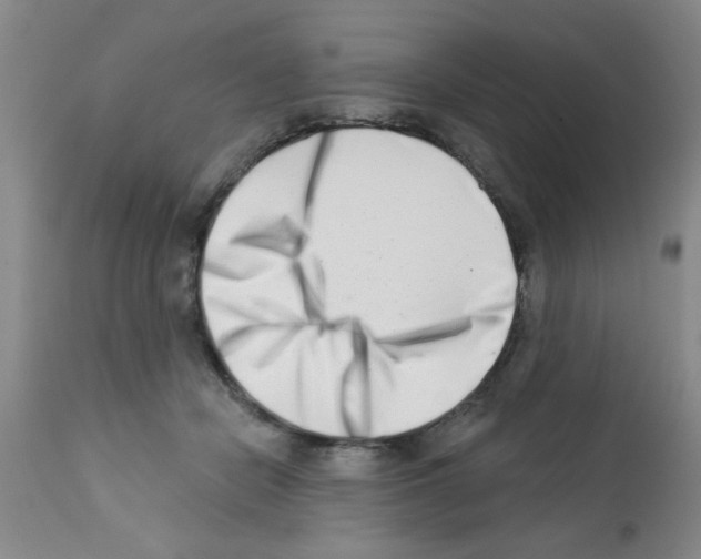 X0000113200462200910221044