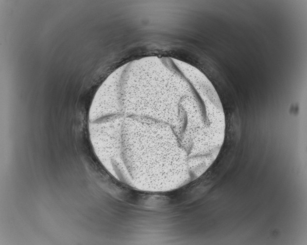 X0000113200463200910221044