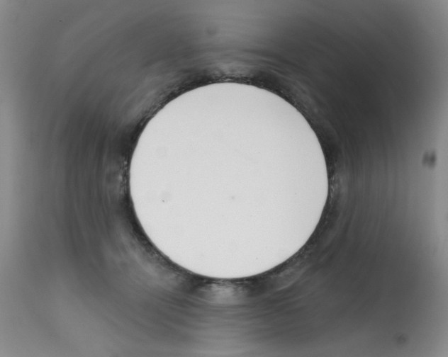 X0000113200464200910221044