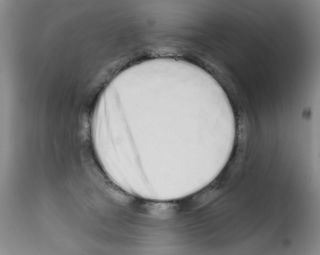 X0000113200465200910221044