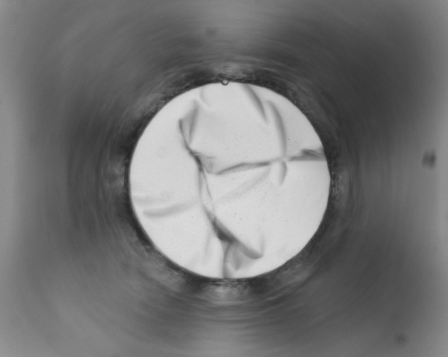 X0000113200466200910221044