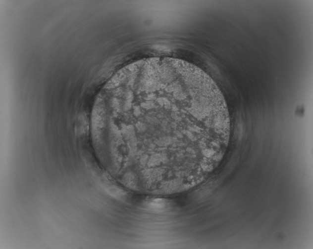 X0000113200467200910221044