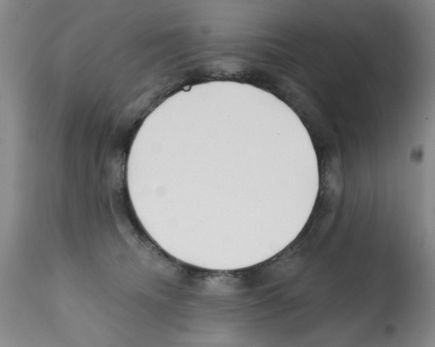 X0000113200468200910221044