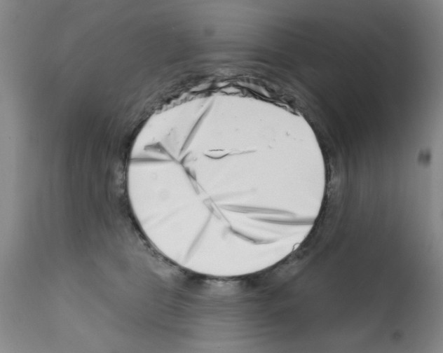 X0000113200469200910221044