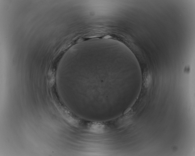 X0000113200471200910221044