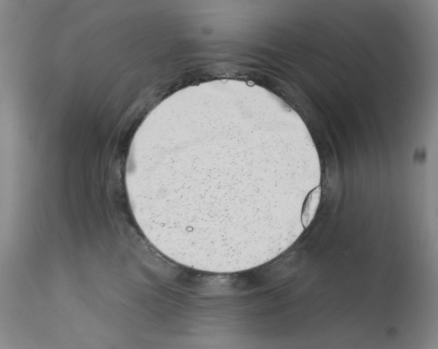 X0000113200473200910221044