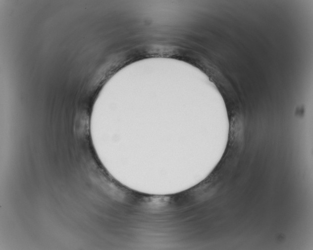 X0000113200474200910221044