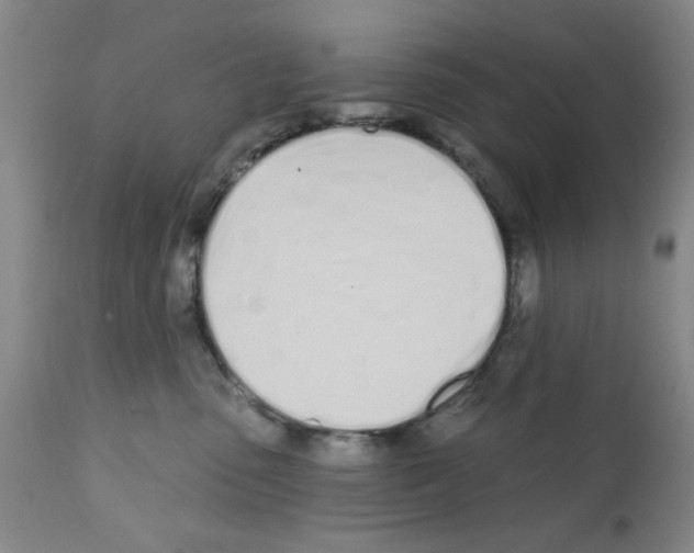 X0000113200475200910221044