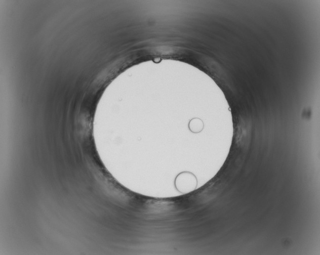 X0000113200476200910221044