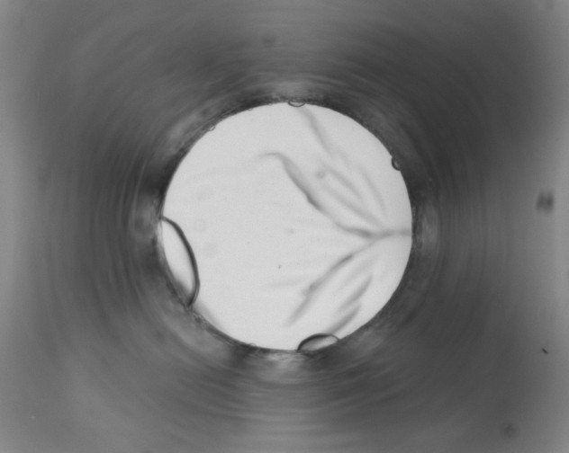 X0000113200478200910221044