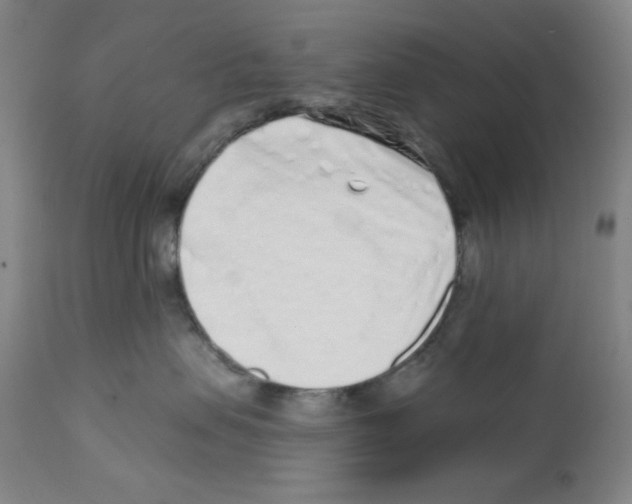 X0000113200479200910221044