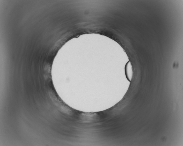 X0000113200480200910221044