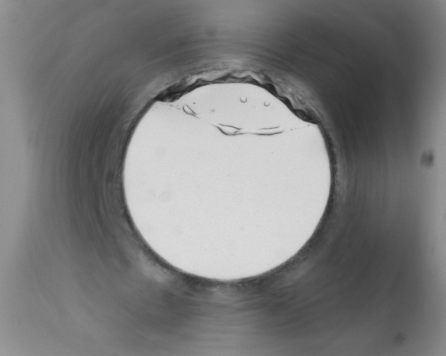 X0000113200481200910221043