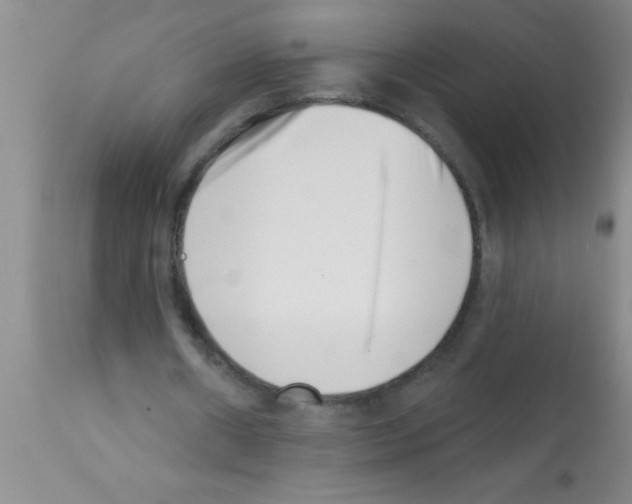 X0000113200482200910221043