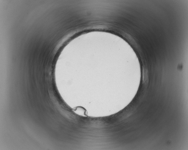 X0000113200483200910221043