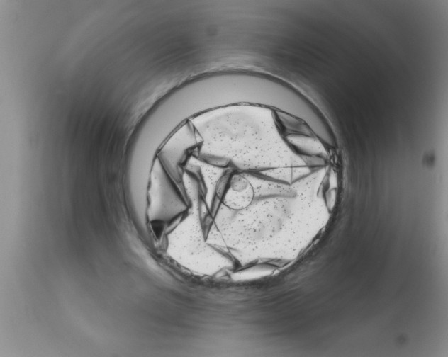 X0000113200485200910221043