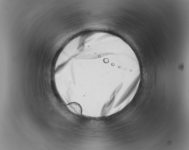 X0000113200487200910221043