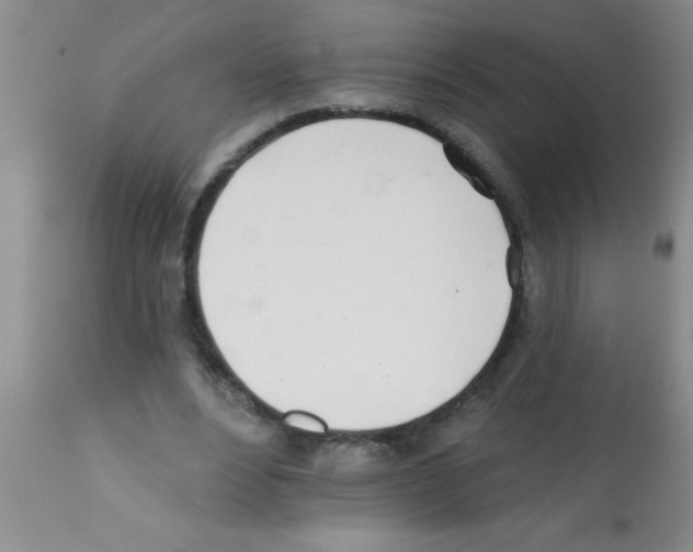 X0000113200488200910221043