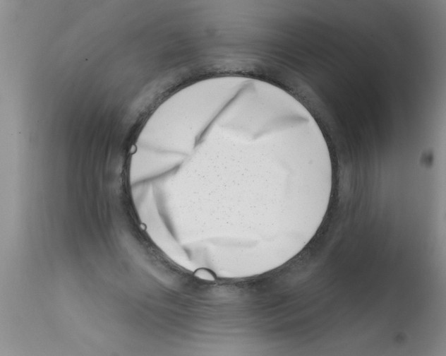X0000113200490200910221043