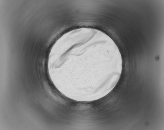 X0000113200491200910221043
