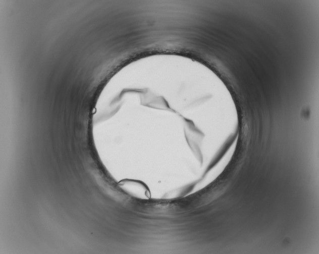 X0000113200493200910221043