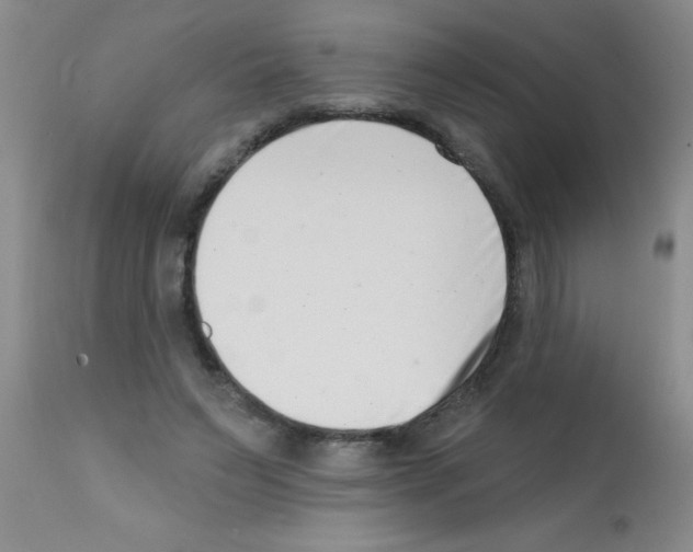 X0000113200495200910221043