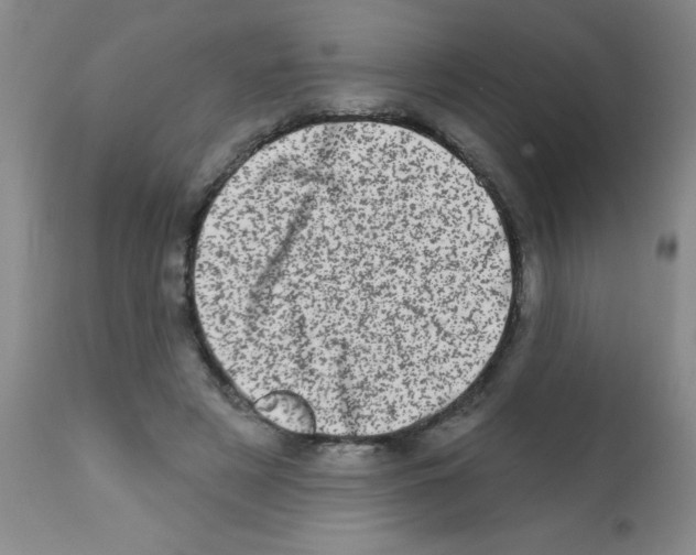 X0000113200497200910221043