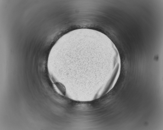 X0000113200499200910221043