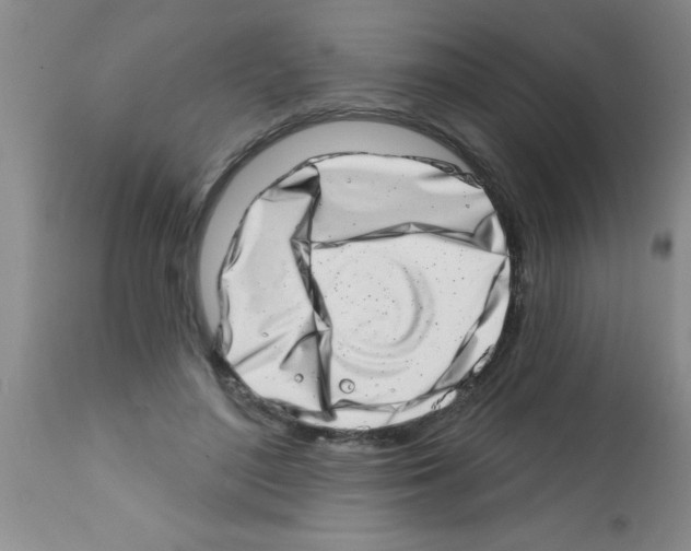 X0000113200500200910221043