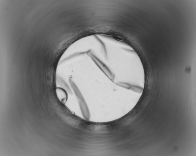 X0000113200501200910221043