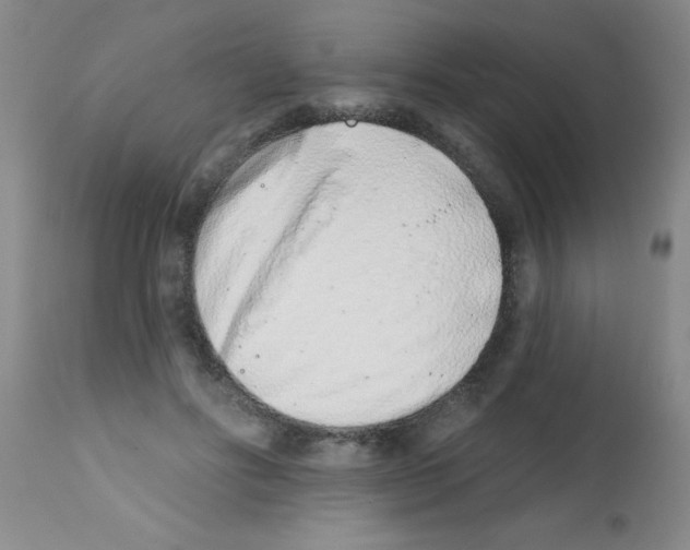 X0000113200502200910221043