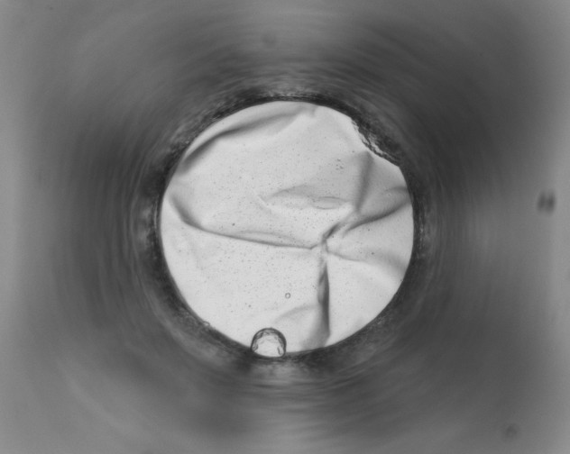 X0000113200503200910221043