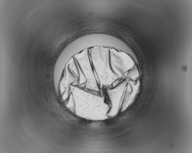 X0000113200505200910221043