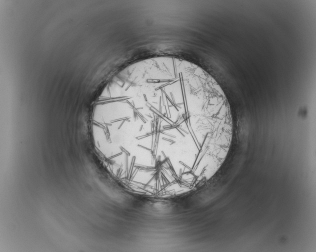 X0000113200506200910221043