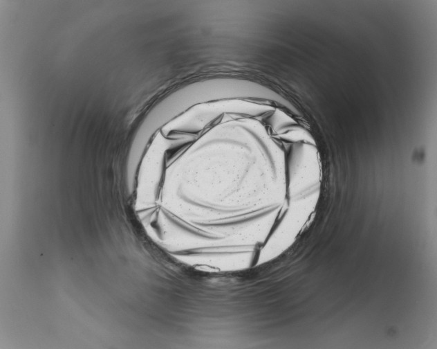 X0000113200508200910221043