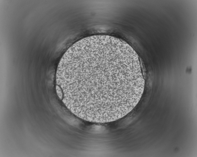 X0000113200509200910221043