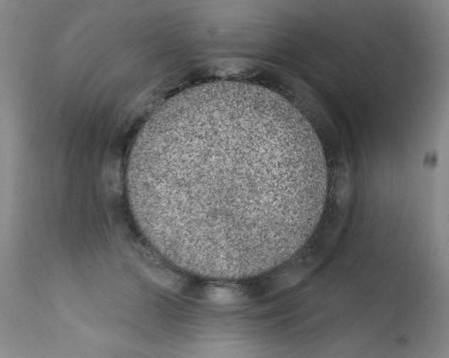 X0000113200510200910221043