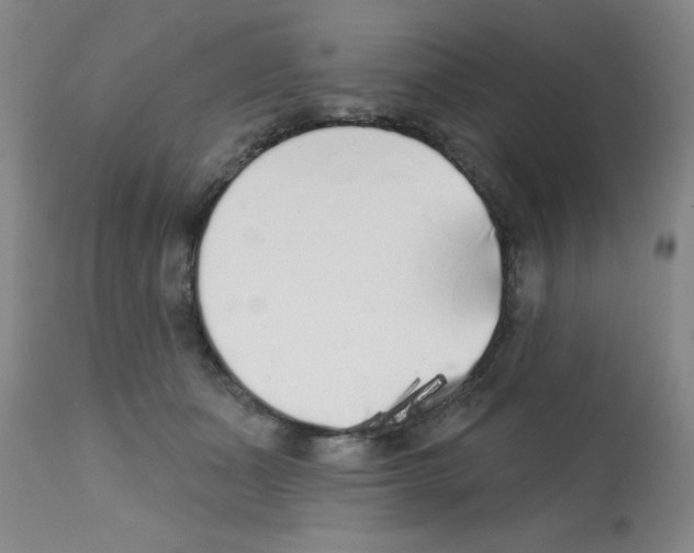 X0000113200511200910221043