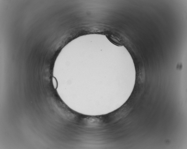 X0000113200512200910221043