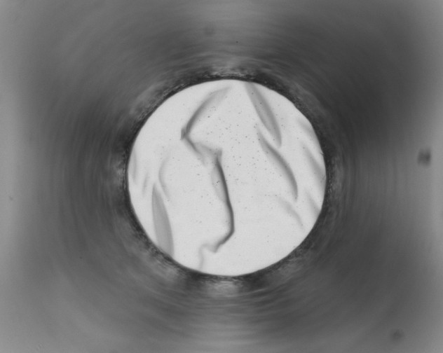 X0000113200513200910221043