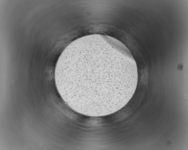 X0000113200514200910221043