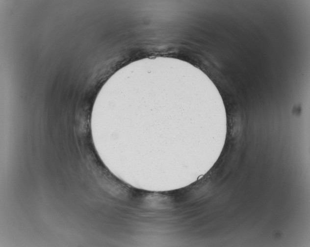 X0000113200515200910221043