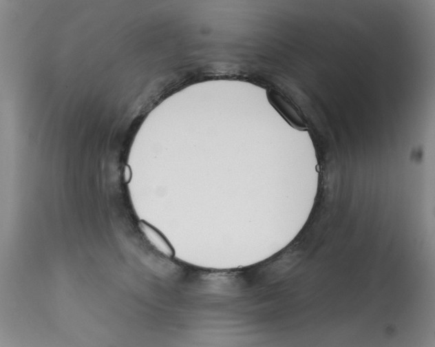 X0000113200516200910221043
