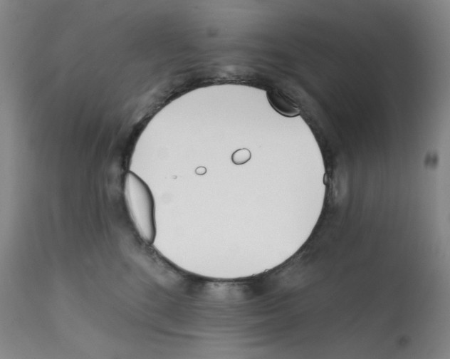X0000113200520200910221043