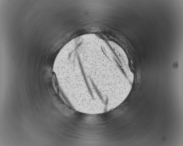 X0000113200521200910221043