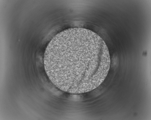 X0000113200522200910221043